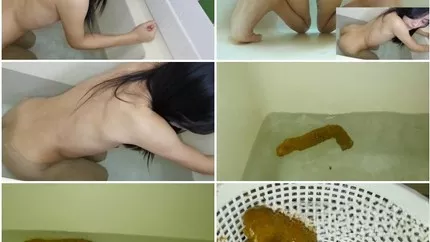 Screenshot 2 from Sanae P1 Poop Submerged