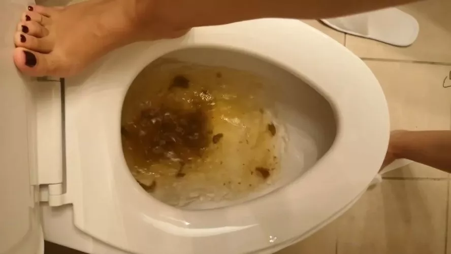 Scat Verbal Humiliation The Toilet is Сlogged P1