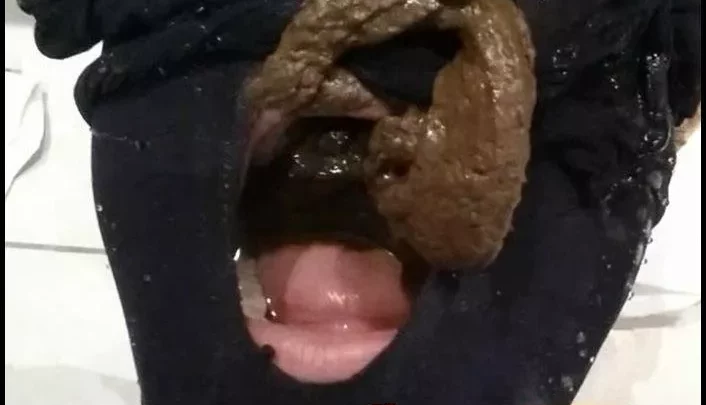 ScatGiorgia I Shit Puke And Piss Into The Slaves Mouth