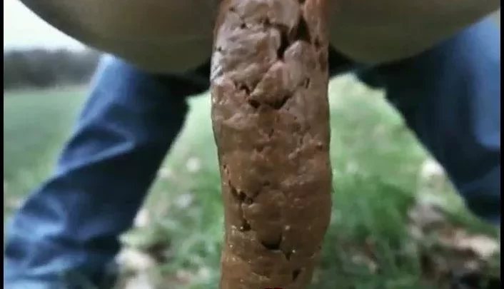 ScatLilSecret Solo Poop No. 3