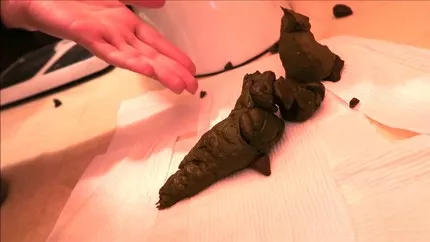 Screenshot 2 from Sneaky Turds