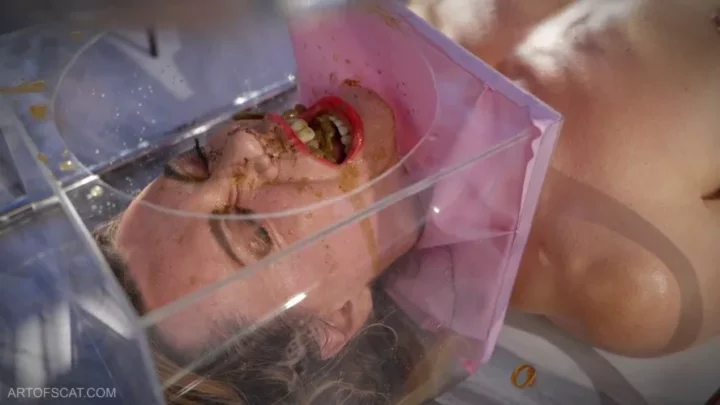 The Box for defecation on the face. P1