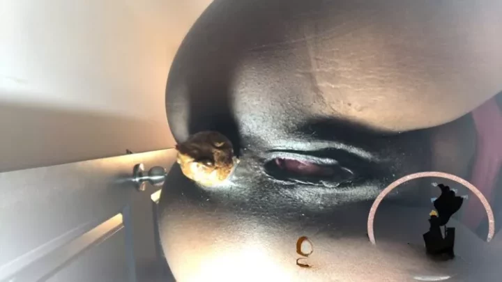 WatchMarleyPoop Giant Marley Teases & Poop On You new scat porn video