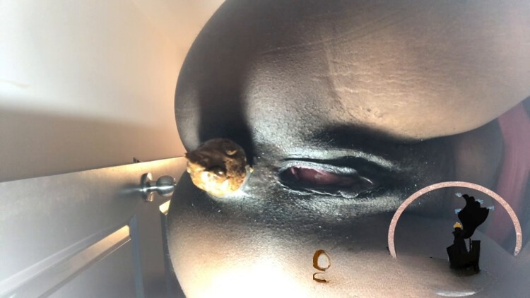 WatchMarleyPoop Giant Marley Teases & Poop On You new scat porn video